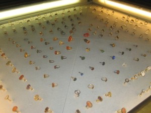 A cabinet full of renaissance cameo rings inside the Pitti Palace