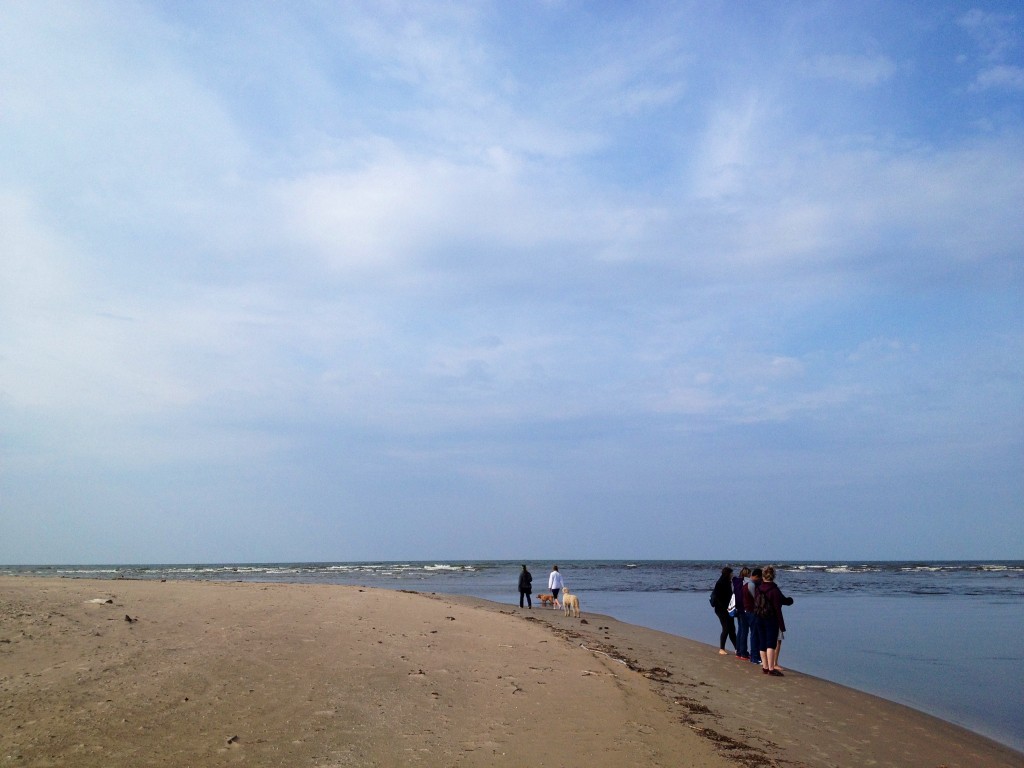 students on the shore of lake ontario